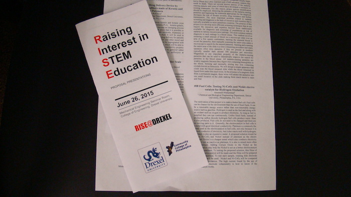 RISE pamphlet 